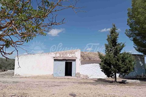 Landejendom i Yecla, Murcia, Yecla - € 49.995 | Ref: SF0390 - foto 9
